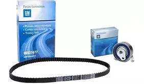 GM Brazil Pilot in Rio de Janeiro RJ